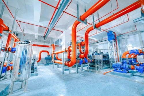 低碳又環(huán)保 這座水質(zhì)凈化廠(chǎng) 藏 在城市公園下